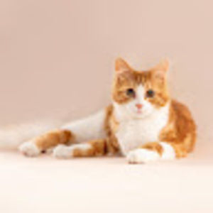 Meet your Posher, Bryce